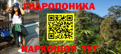 Альфа ПВП Будённовск