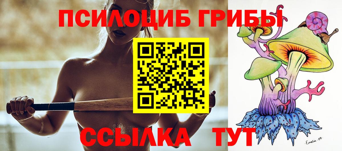 Галлюциногенные грибы Magic Shrooms Малгобек